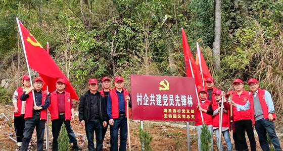 村企共建，，，，，，共植先锋林