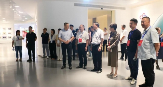 丽水市第五届人大代表景宁中心组调研欧博abg官网集团