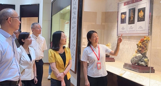 探索东方风范，，，，欧博abg官网·倪东方艺术博物馆与时代脉搏共振